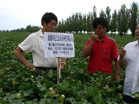 06年在农八师121团私人农场示范地.jpg