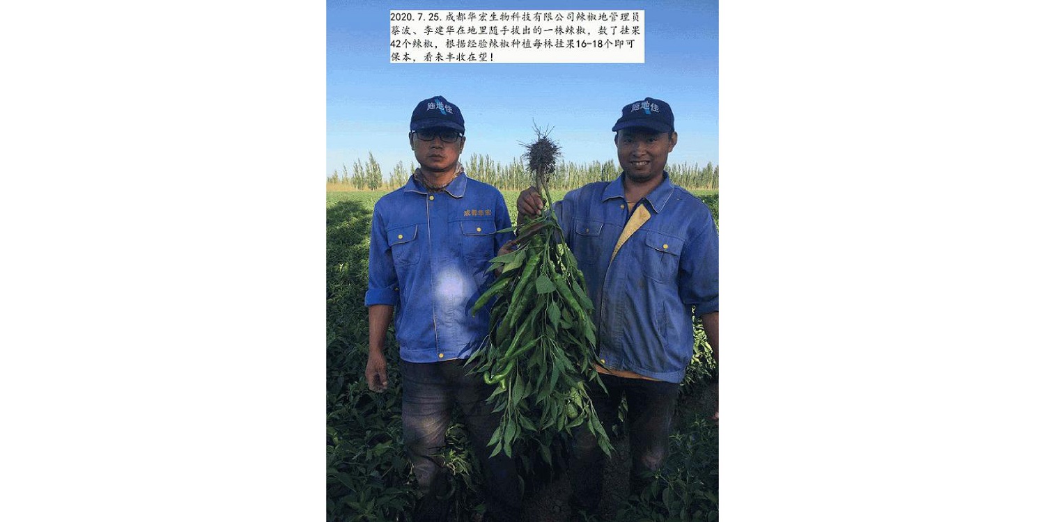 一种修复土壤重金属的生物有机肥料及其制备方法--成都J9九游中国曹刚整理的资料2021.12.7.0046.jpg