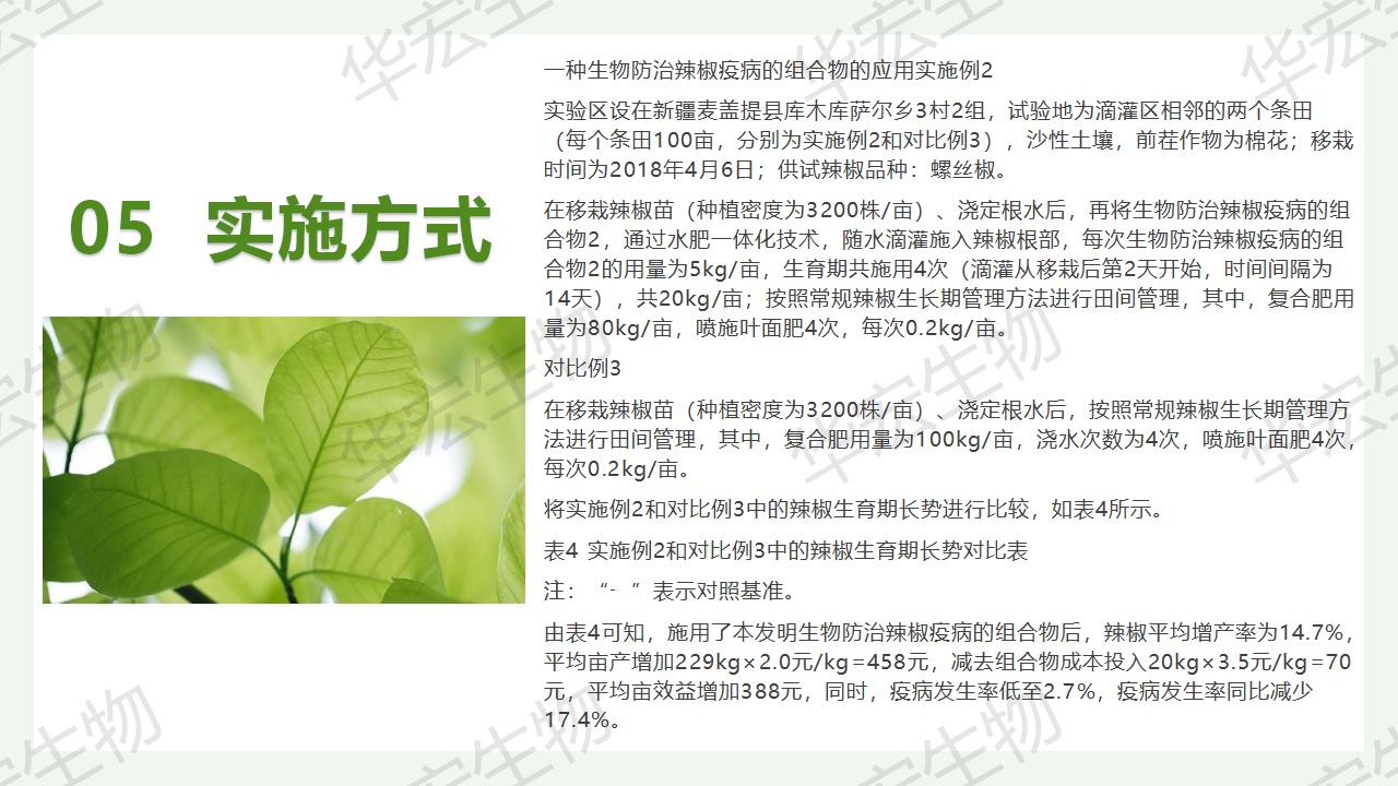 一种生物防治辣椒疫病的组合物及制备方法和应用_23.jpg